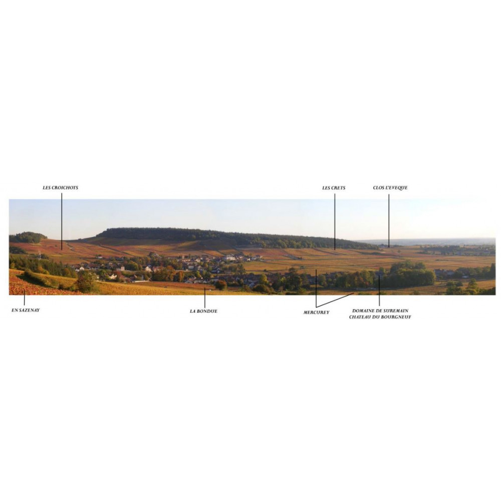 Domaine de Suremain Mercurey rouge 2021 terroir