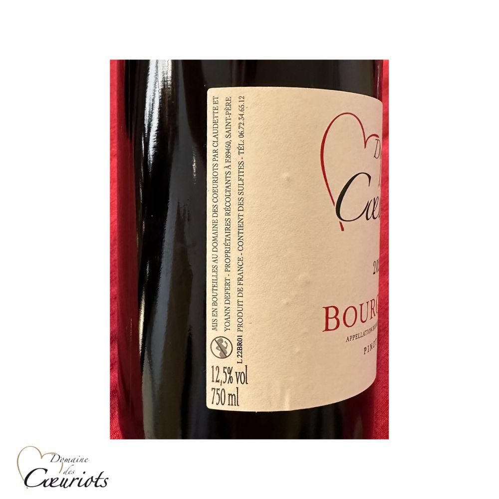 Domaines des Coeuriots Bourgogne Pinot noir rouge 2022