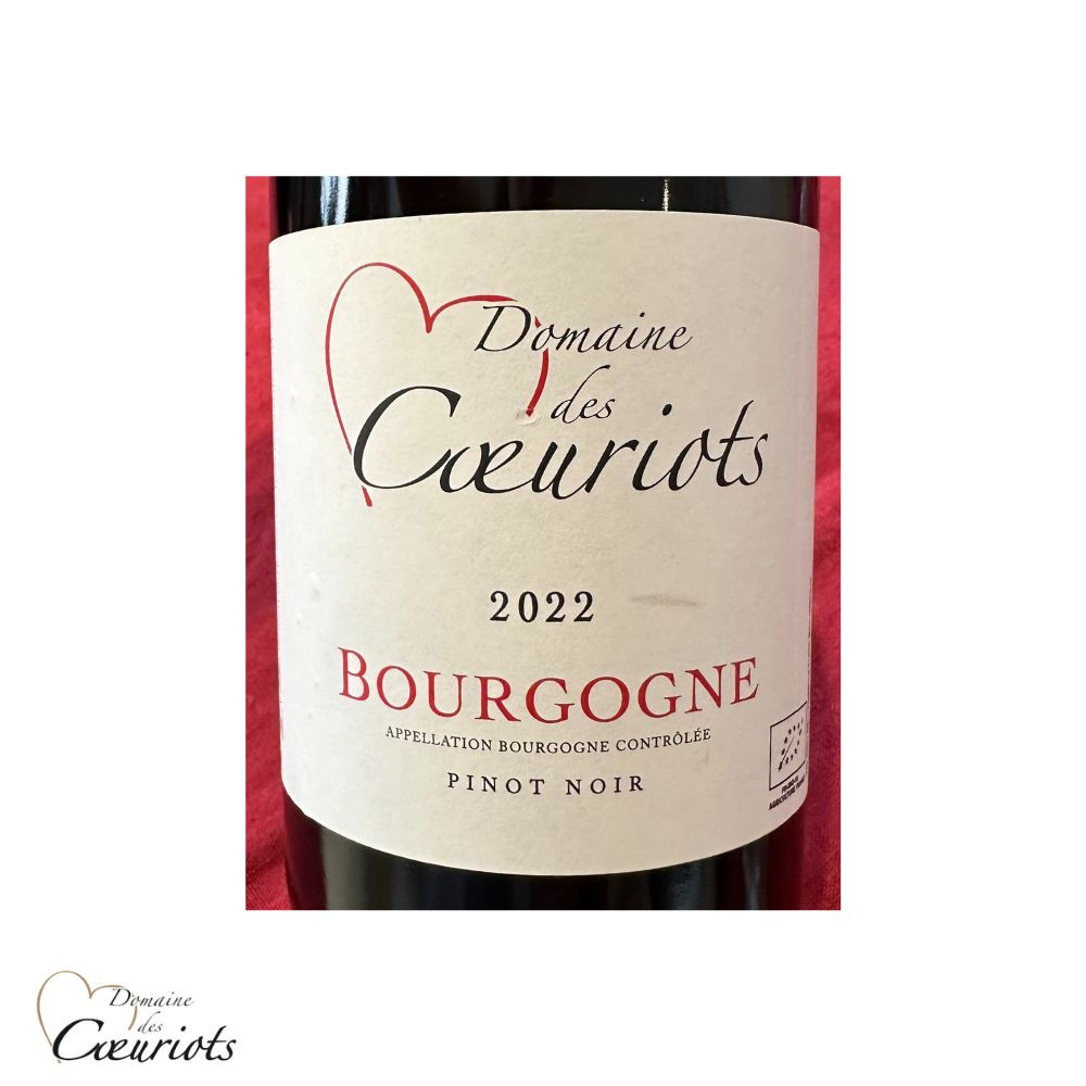 Domaines des Coeuriots Bourgogne Pinot noir red 2022