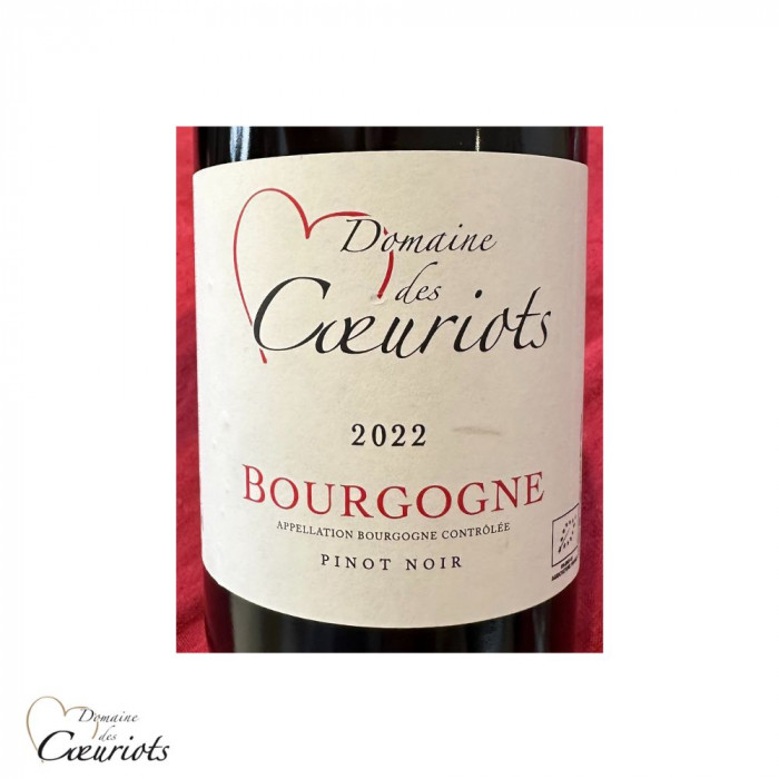 Domaines des Coeuriots Bourgogne Pinot noir rouge 2022