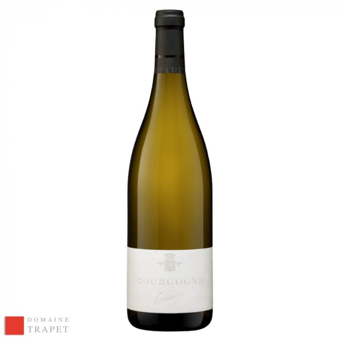 Domaine Trapet Bourgogne blanc sec 2021 bouteille Domaine Trapet Bourgogne blanc sec 2021 bouteille