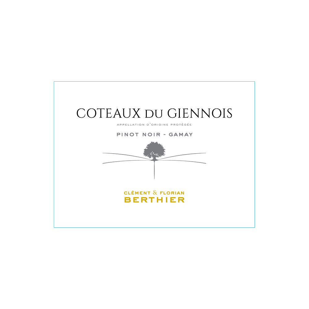 Domaine Berthier Coteaux du Giennois red 2021