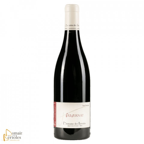 Domaine des Bérioles Saint-Pourçain "Auvernat" rouge 2023 bouteille