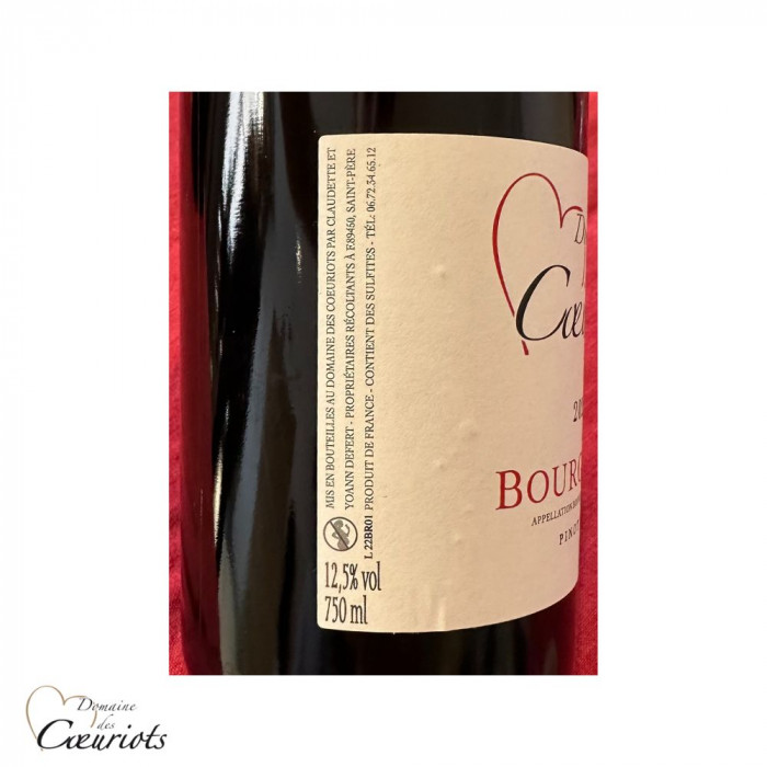 Domaines des Coeuriots Bourgogne Pinot noir rouge 2022