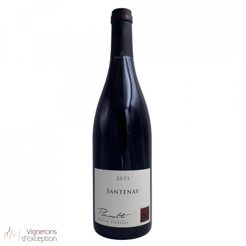 Domaine Nicolas Perrault Santenay rouge 2022 bouteille