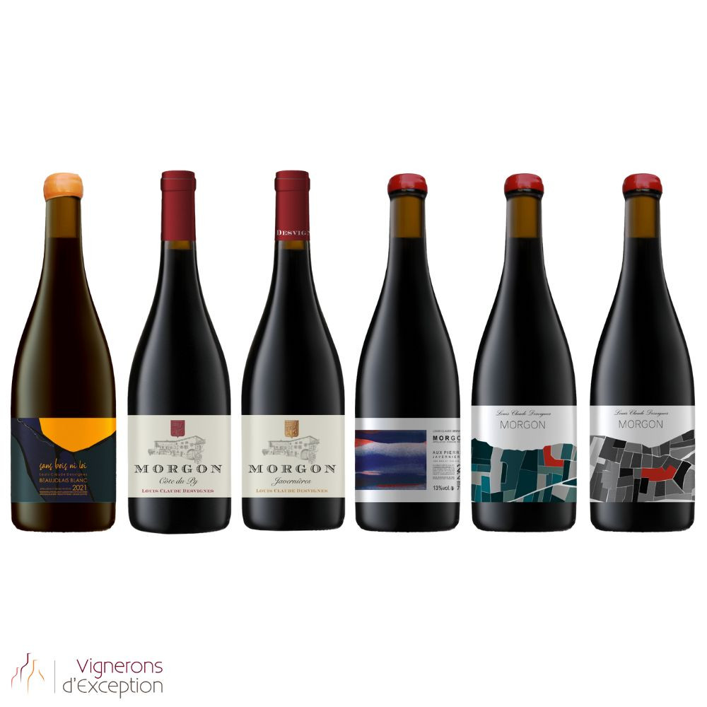 Dégustation Beaujolais Desvignes Dégustation Beaujolais Desvignes