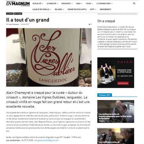 Les Vignes Oubliées "Autour du Cinsault" rouge 2023 bouteille 2