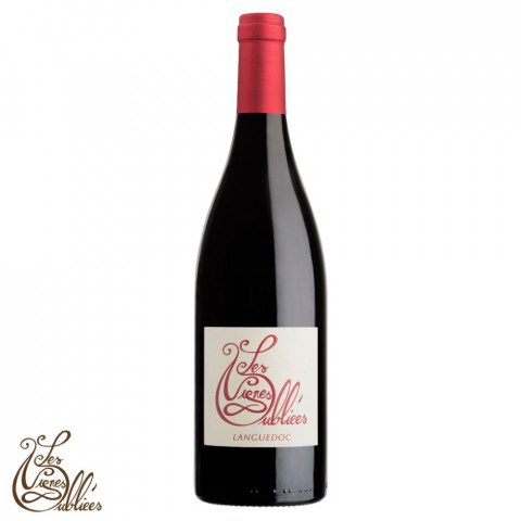 Les Vignes Oubliées "Autour du Cinsault" rouge 2023 bouteille