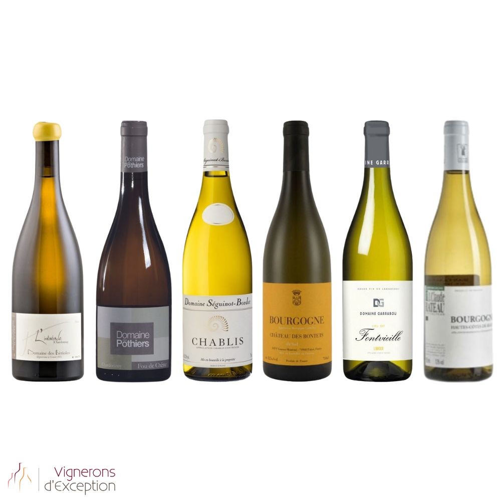 Chardonnay discovery Chardonnay discovery