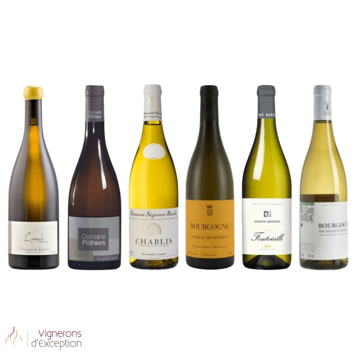 Chardonnay discovery Chardonnay discovery