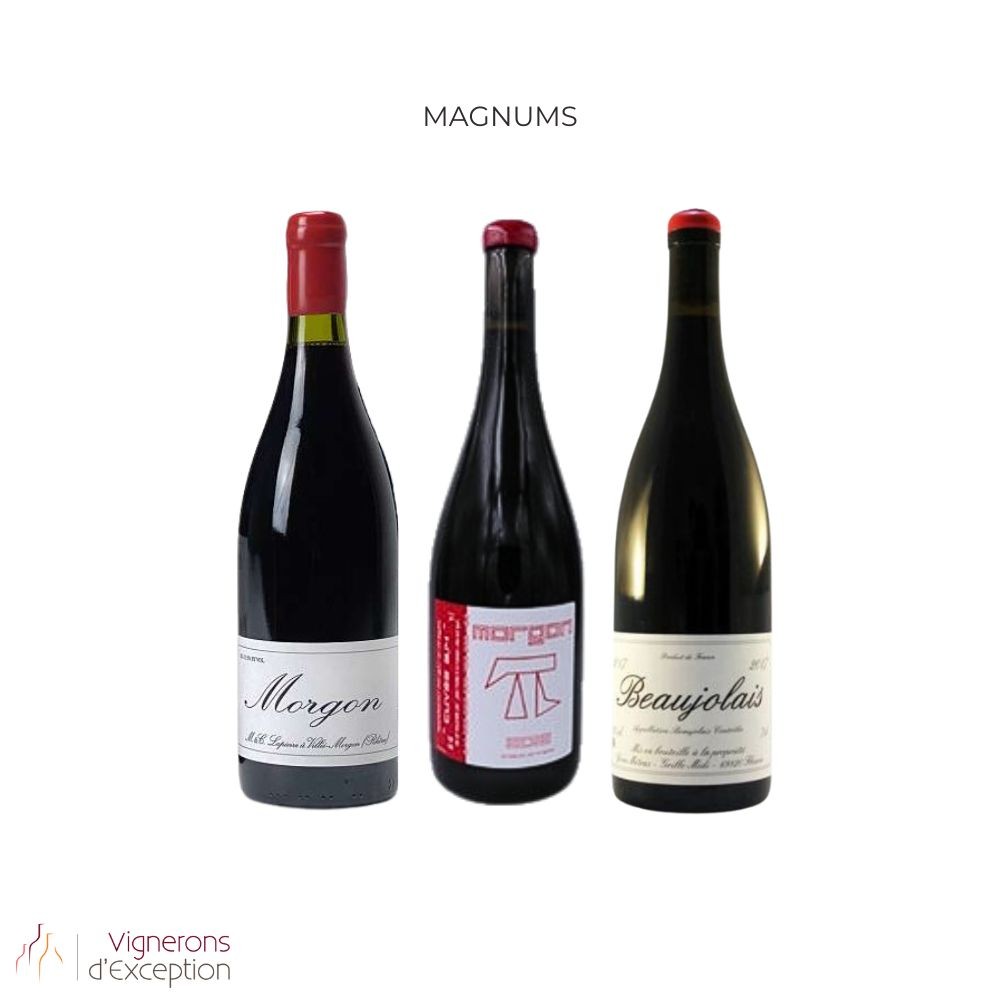 Great gamays MAGNUM Great gamays MAGNUM