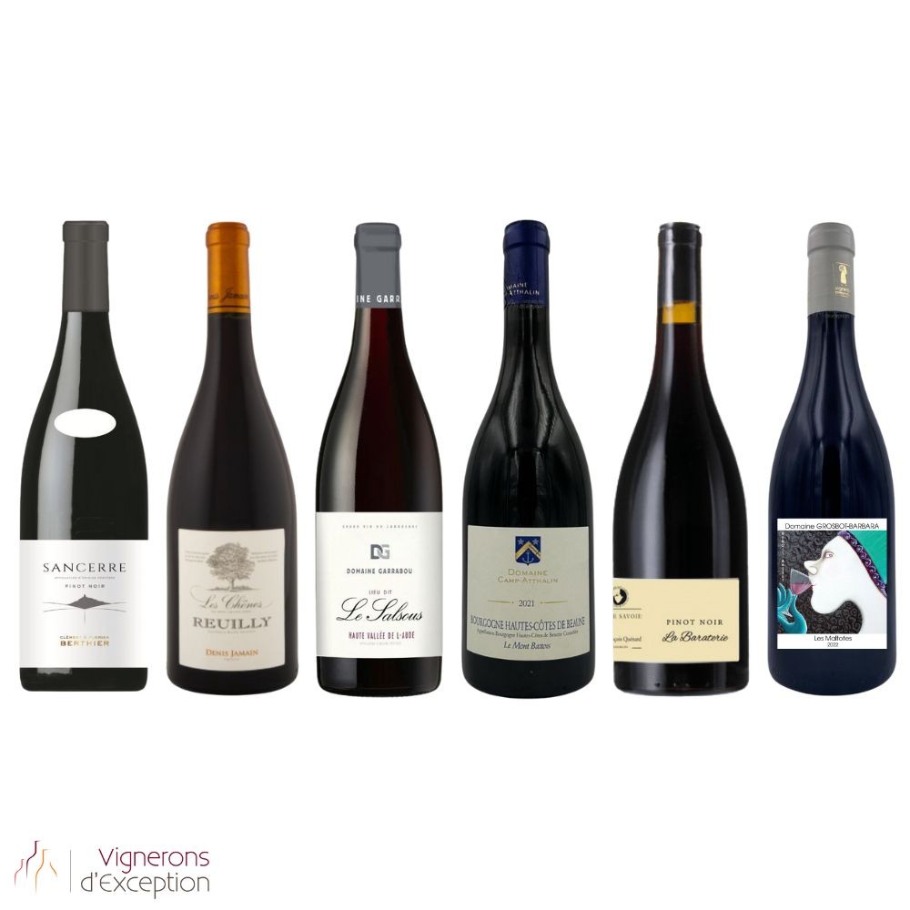 Découverte pinot noir