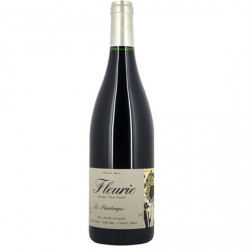 Domaine Yvon Métras Fleurie "Printemps" red 2023 MAGNUM