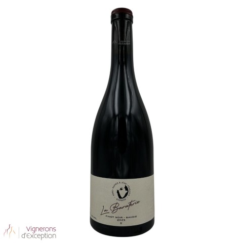 Domaine AS et JF Quenard "La Baraterie" (pinot noir) red 2023 2