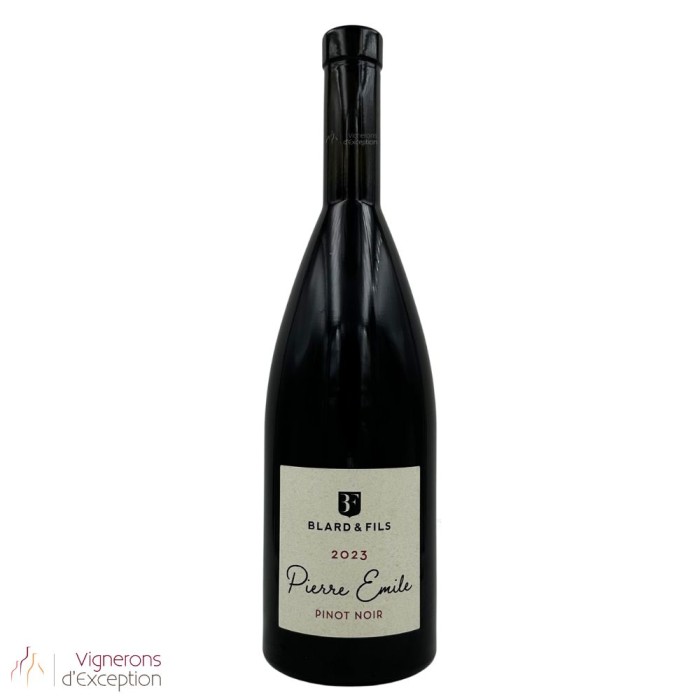 Domaine Blard Savoie "Pierre Emile" (pinot noir) red 2023 Domaine Blard Savoie "Pierre Emile" (pinot noir) red 2023
