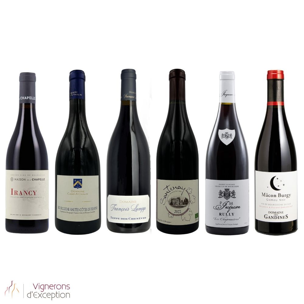 Bourgogne Rouge Discret