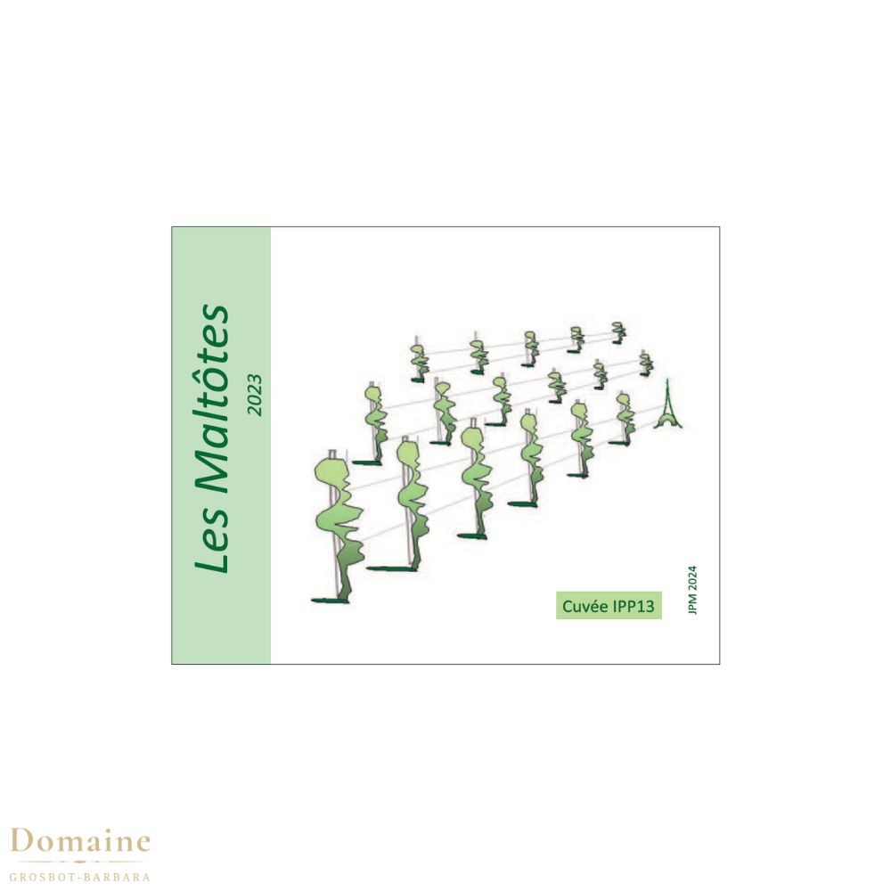 Domaine Grosbot-Barbara Saint-Pourçain "Les Maltotes" blanc sec 2023