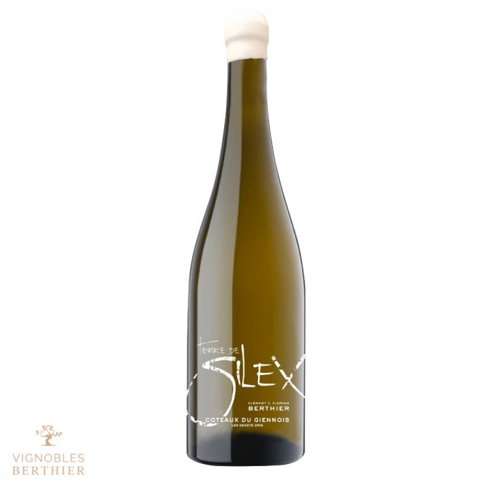 Domaine Berthier Coteaux du Giennois "Terre de Silex" blanc sec 2021