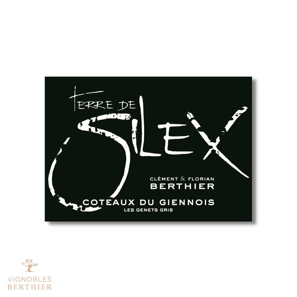 Domaine Berthier Coteaux du Giennois "Terre de Silex" blanc sec 2021