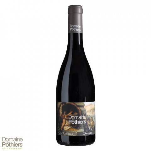 Domaine des Pothiers Côte Roannaise "Diogène" rouge 2022 bouteille