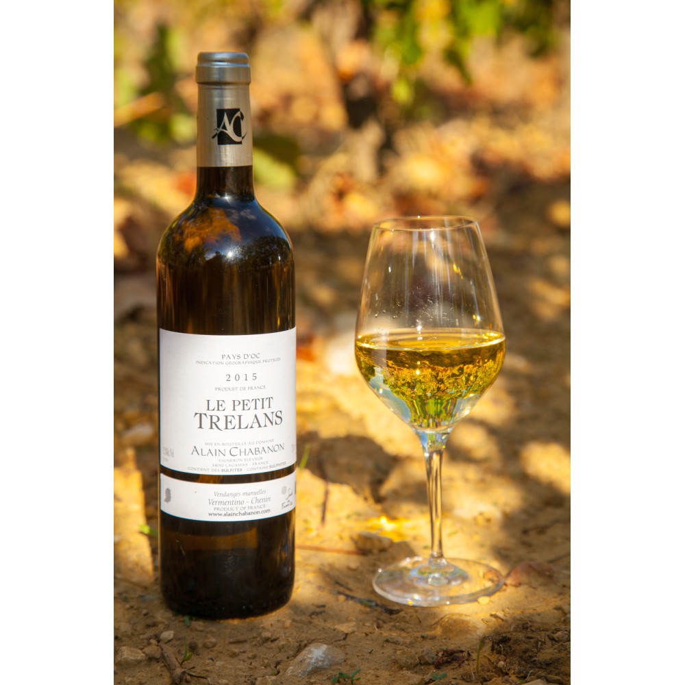 Domaine Alain Chabanon "Petit Trélans" dry white 2022
