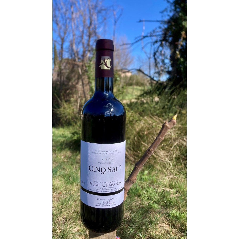 Domaine Alain Chabanon IGP "Cinq Saut" rouge 2023 bouteille