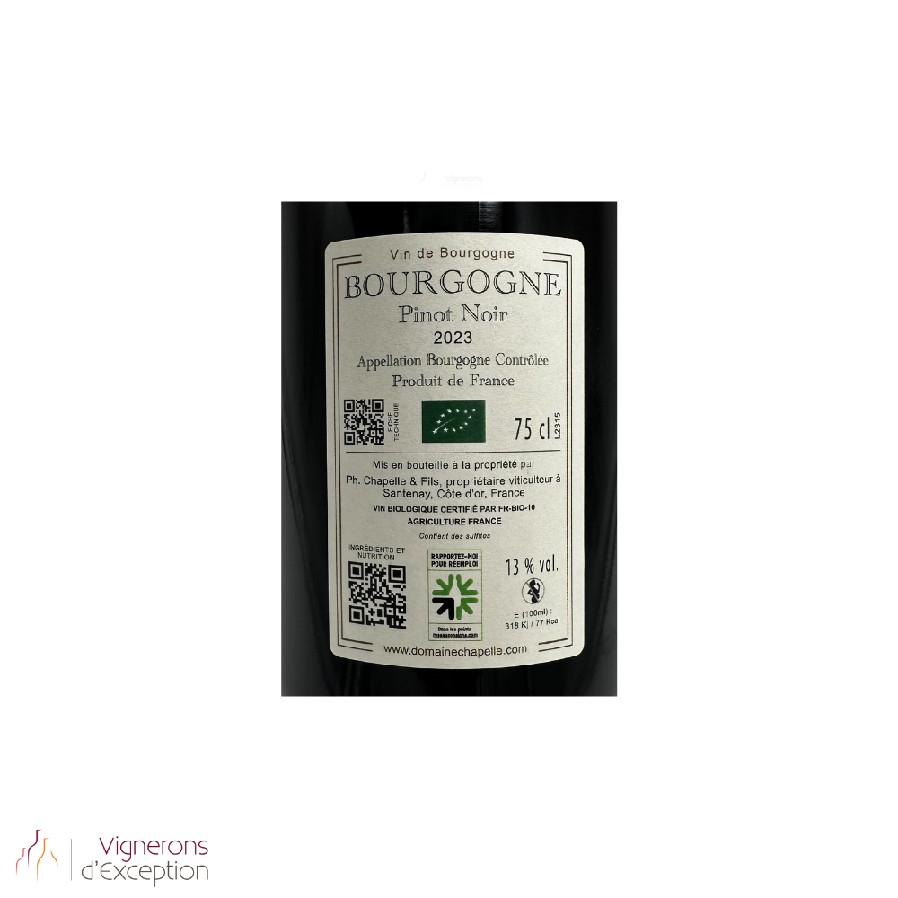 Domaine Chapelle Bourgogne "Pinot Noir" rouge 2023