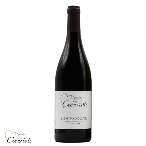 Domaines des Coeuriots Bourgogne Pinot noir rouge 2023 bouteille