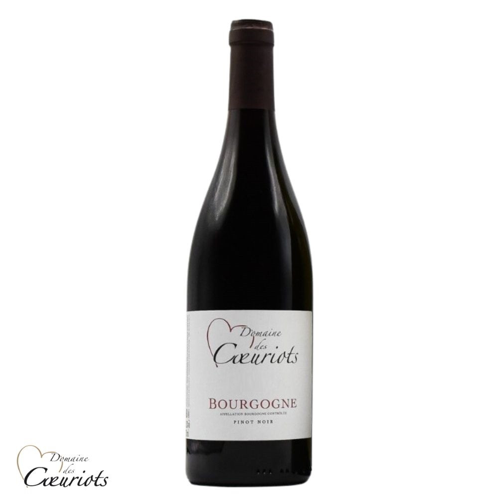 Domaines des Coeuriots Bourgogne Pinot noir rouge 2023 bouteille