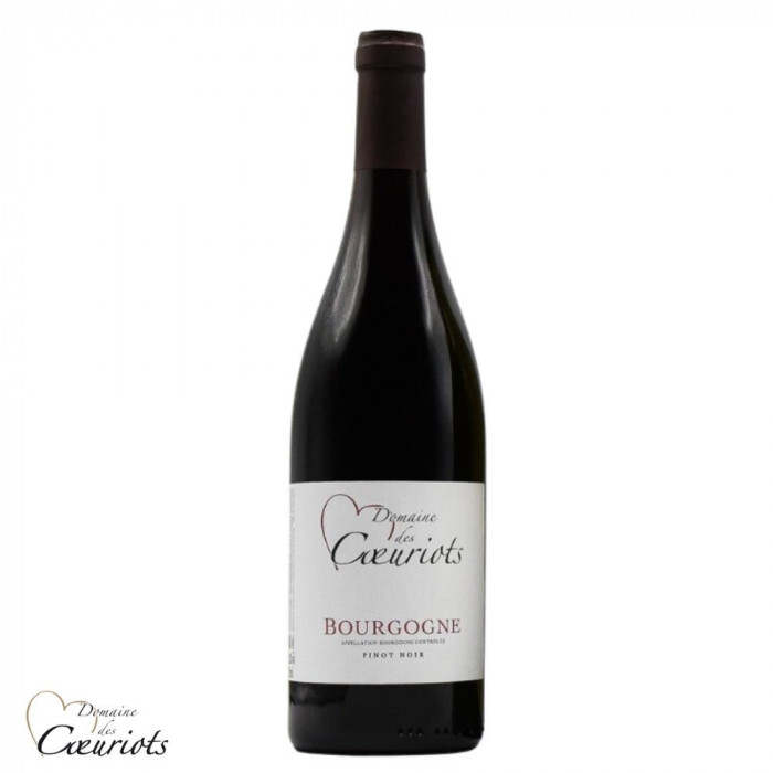 Domaines des Coeuriots Bourgogne Pinot noir red 2023 Domaines des Coeuriots Bourgogne Pinot noir red 2023