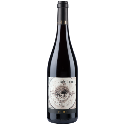 Le Fief Noir "Révolution" (pineau d'Aunis) rouge 2023