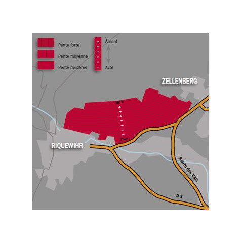 Domaine Trapet Riesling Grand Cru "Schoenenbourg" dry white 2019 2