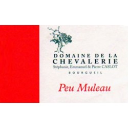 Domaine de La Chevalerie Bourgueil "Peu Muleau" 2020 etiquette