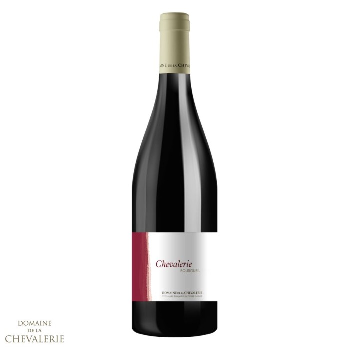 Domaine de La Chevalerie Bourgueil "Chevalerie" red 2019
