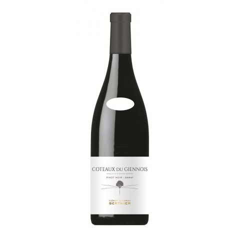 Domaine Berthier Coteaux du Giennois rouge 2023 bouteille