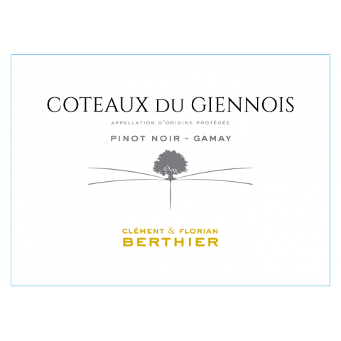 Domaine Berthier Coteaux du Giennois rouge 2023 bouteille 2