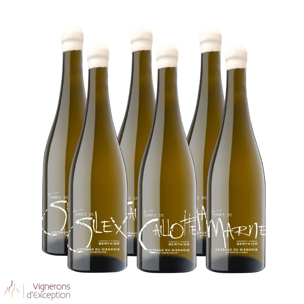 Domaine Berthier panaché Coteaux du Giennois "3 terroirs" dry white 2023