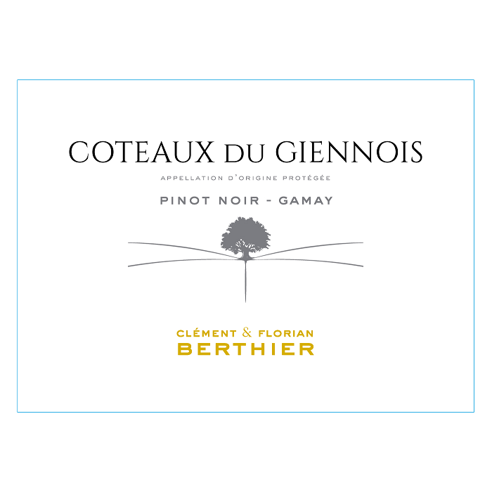 Domaine Berthier Coteaux du Giennois red 2022
