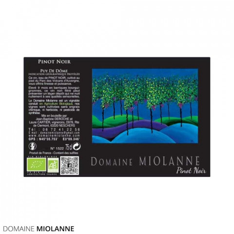 Domaine Miolanne IGP Puy de Dôme "pinot noir" rouge 2024 bouteille 2