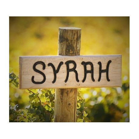 Les syrahs des Stars (carton panaché de 6 bouteilles)