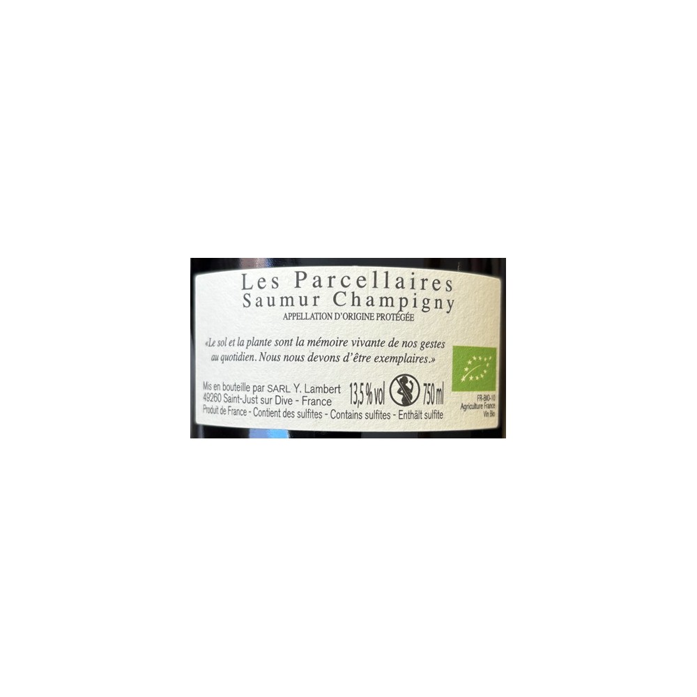 Domaine Arnaud Lambert Saumur Champigny "Moleton" red 2020