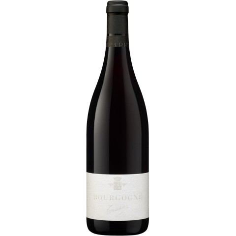 Domaine Trapet Bourgogne "pinot noir" rouge 2023 bouteille