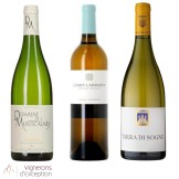 Rares Blancs du Sud 5 (3 bouteilles)