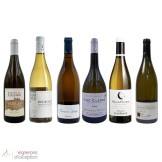 "Unusual" White Burgundy wines