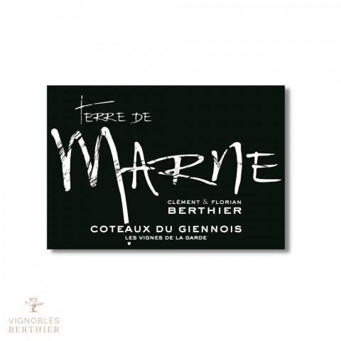 Domaine Berthier Coteaux du Giennois "Terre de Marne" dry white 2021 2