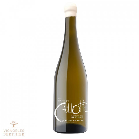 Domaine Berthier Coteaux du Giennois "Terre de Caillotte" blanc sec 2021