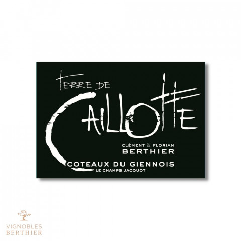 Domaine Berthier Coteaux du Giennois "Terre de Caillotte" blanc sec 2021 2