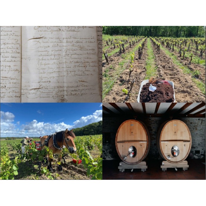 Famille Lieubeau Muscadet de Sèvre et Maine Château-Thébaud "La Minée" blanc sec 2022