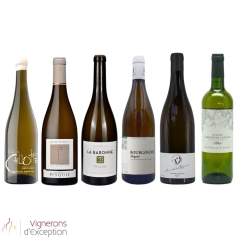 Discover Organic White Wine