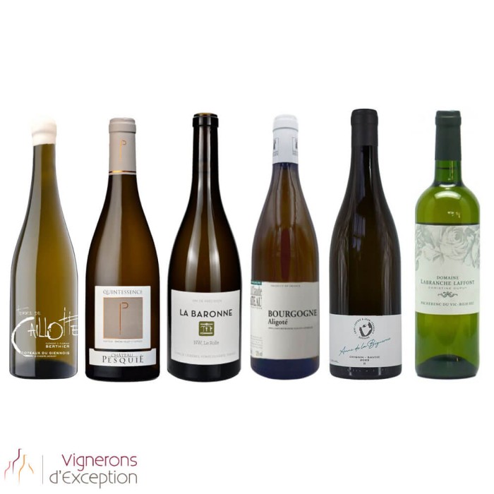 Discover Organic White Wine